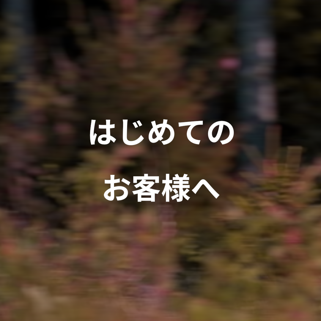 フックスバウ・ベルリンについて
